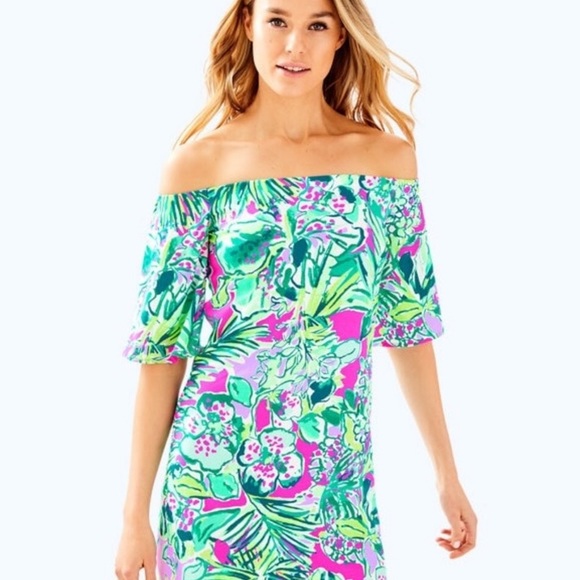 Lilly Pulitzer Fawcett Dress - Picture 2 of 5